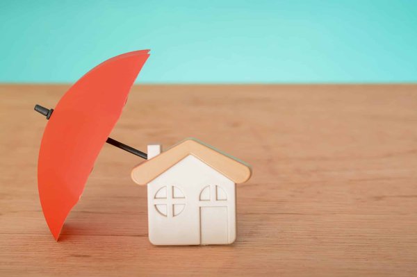 Assurance habitation : Importance de la garantie responsabilité civile
