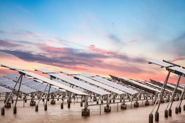 Rentabilité d'une ferme solaire : chiffres et conseils