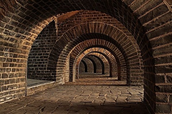 Investir dans une cave : quels sont les avantages ?